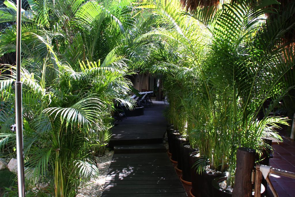 La Tortuga Hotel & Spa - Adults Only Playa del Carmen Exterior foto